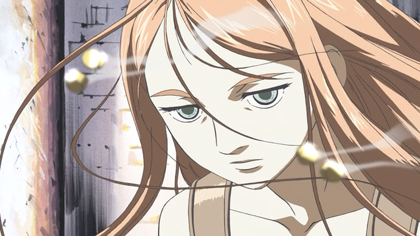 Shin Angyo Onshi (Fansubber)